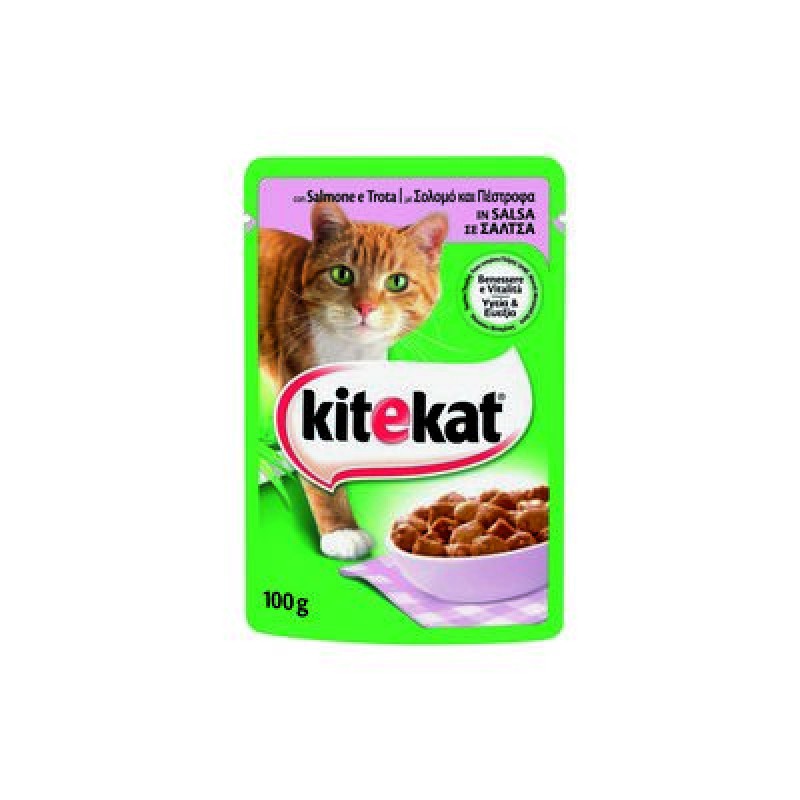 KITEKAT SMALL CHUNKS OF SALMON GR.100 BAG