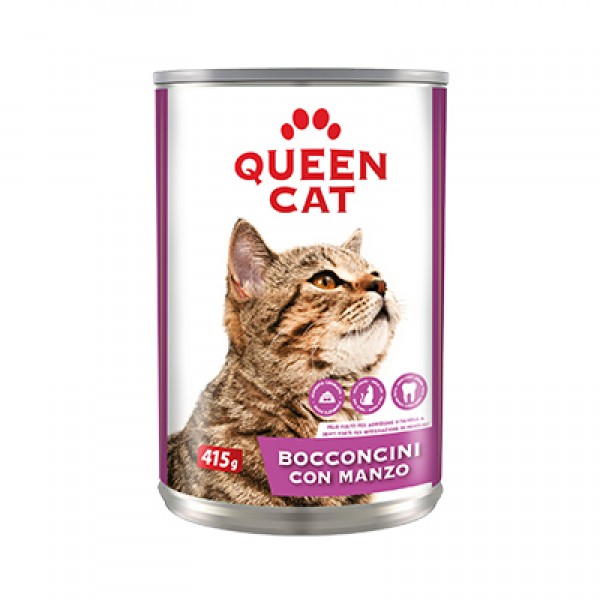 QUEEN CAT CHUNKS BEEF CAN GR.415