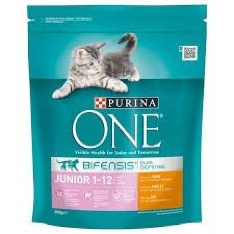 ONE CAT CHICKEN JR. GR. 800
